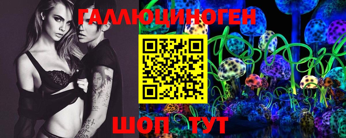 Псилоцибиновые грибы Psilocybine cubensis Знаменск