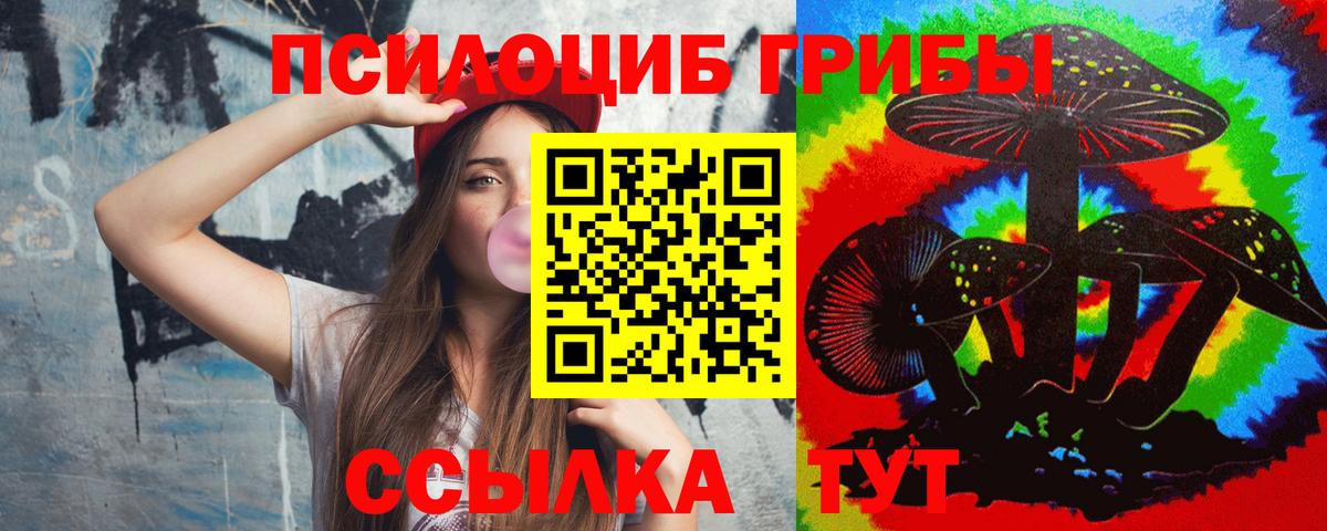 Знаменск  Псилоцибиновые грибы Psilocybine cubensis  Вход с VPN 